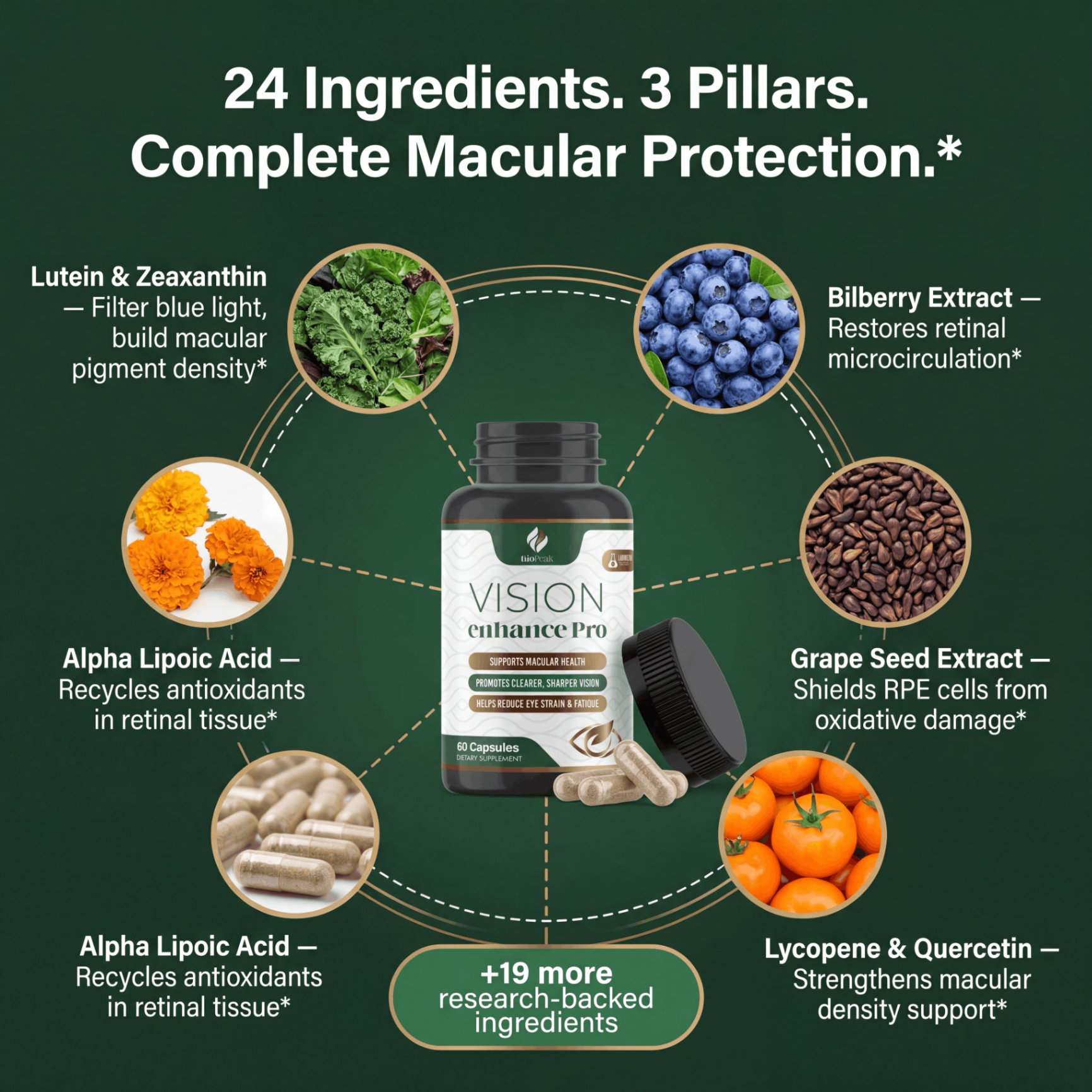 Vision Prophy Powder Vision Enhance Pro — Comprehensive Macular Support Between Your Eye ...